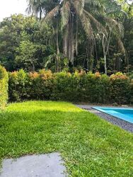 Greenbank Park (D21), Detached #548462351